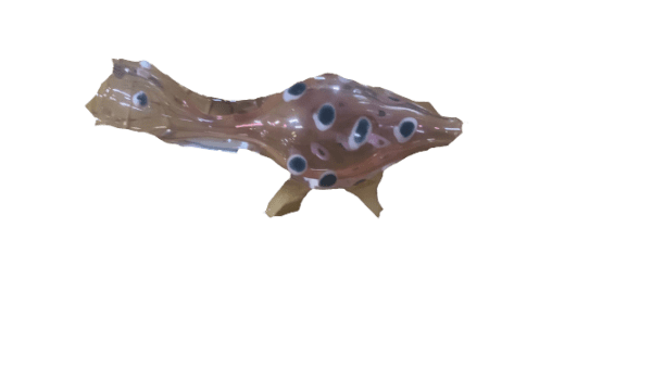 Fish Chillum